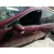 Puerta Delantera Izquierda para Renault Scenic Iii