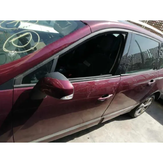 Puerta Delantera Izquierda para Renault Scenic Iii