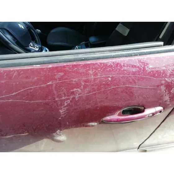 Puerta Delantera Izquierda para Renault Scenic Iii