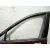 Puerta Delantera Izquierda para Renault Scenic Iii