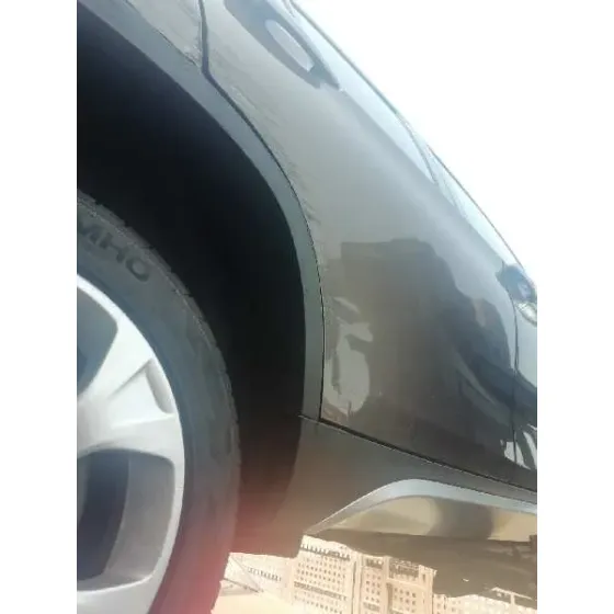 Puerta Trasera Derecha para Bmw X1 (E84)