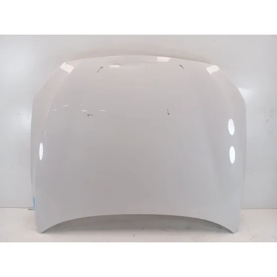 Capot para Bmw Serie 5 Gran Turismo (F07)