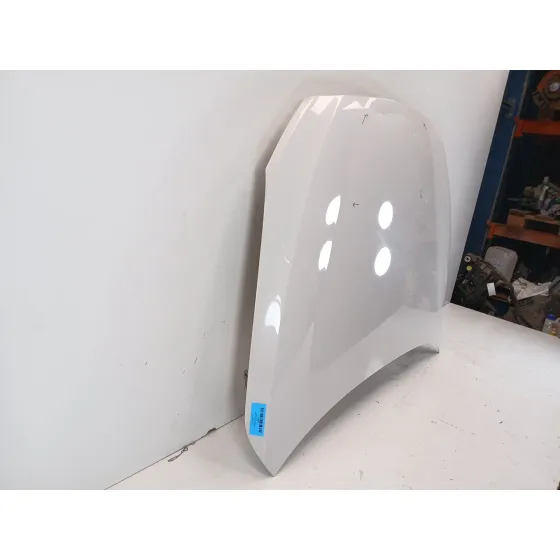Capot para Bmw Serie 5 Gran Turismo (F07)