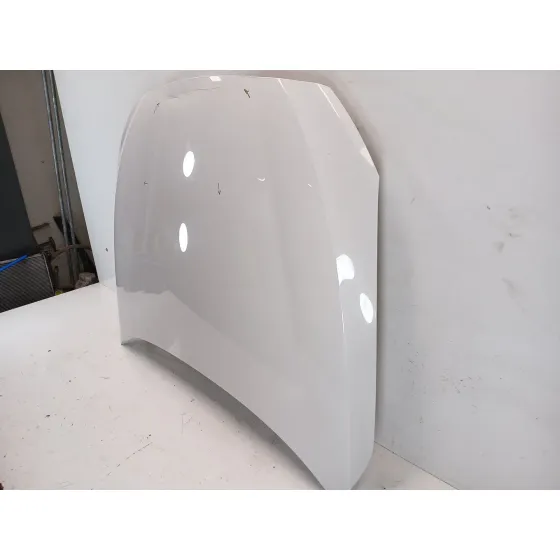 Capot para Bmw Serie 5 Gran Turismo (F07)