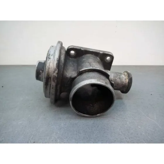 Valvula Egr para Bmw Serie 3 Berlina (E46)