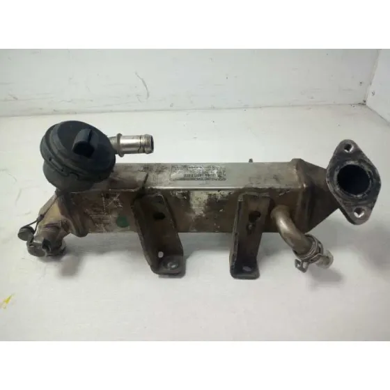 Enfriador Egr para Renault Laguna Iii