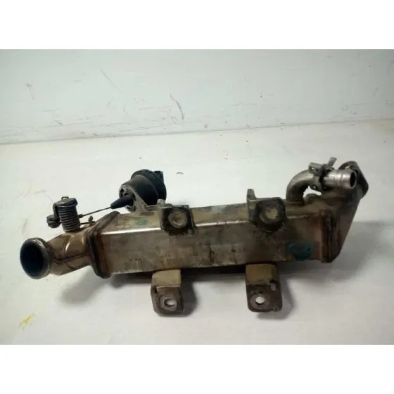 Enfriador Egr para Renault Laguna Iii