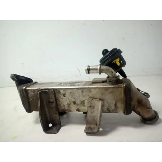 Enfriador Egr para Renault Laguna Iii