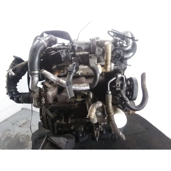 Despiece Motor para Ford Transit Connect (P65_, P70_, P80_)