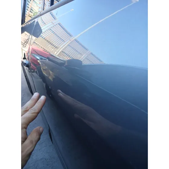 Puerta Trasera Izquierda para Renault Scenic Iii (Jz0/1_)
