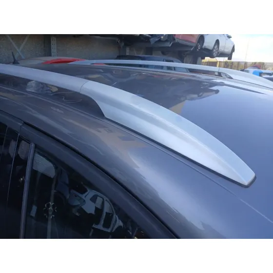 Barras Techo para Renault Scenic Iii (Jz0/1_)