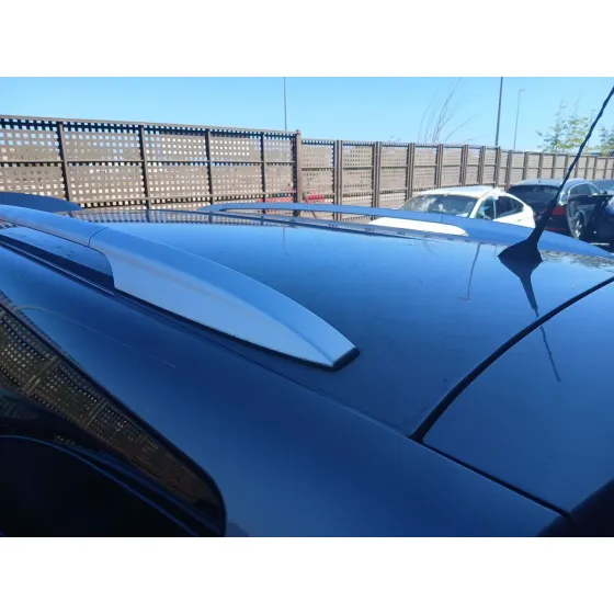 Barras Techo para Renault Scenic Iii (Jz0/1_)