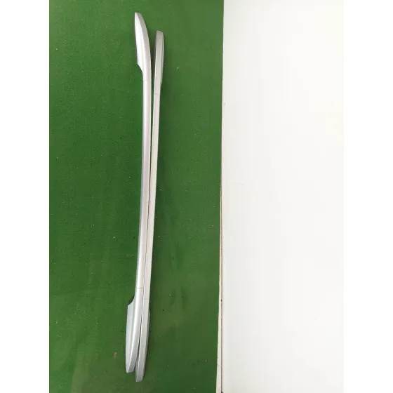Barras Techo para Renault Scenic Iii (Jz0/1_)
