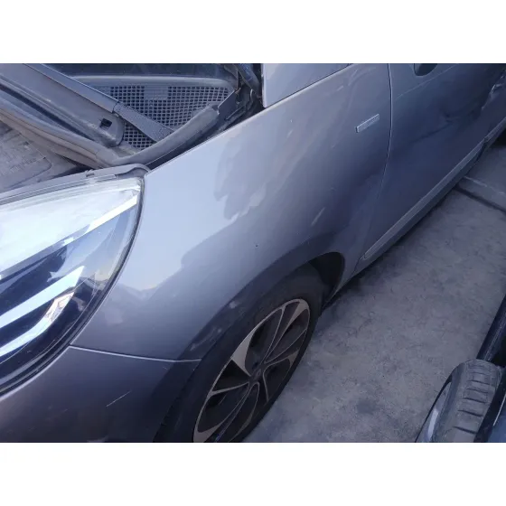 Aleta Delantera Izquierda para Renault Scenic Iii (Jz0/1_)