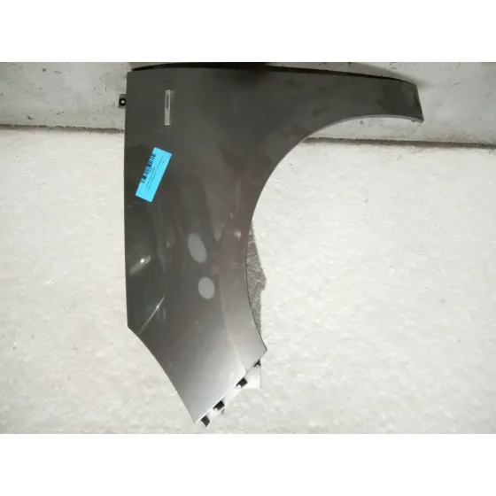 Aleta Delantera Izquierda para Renault Scenic Iii (Jz0/1_)