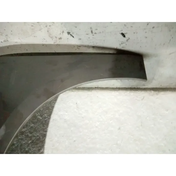 Aleta Delantera Izquierda para Renault Scenic Iii (Jz0/1_)