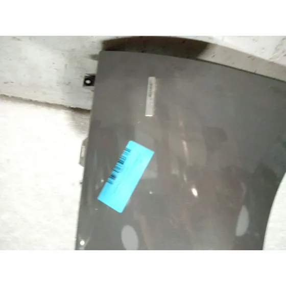 Aleta Delantera Izquierda para Renault Scenic Iii (Jz0/1_)