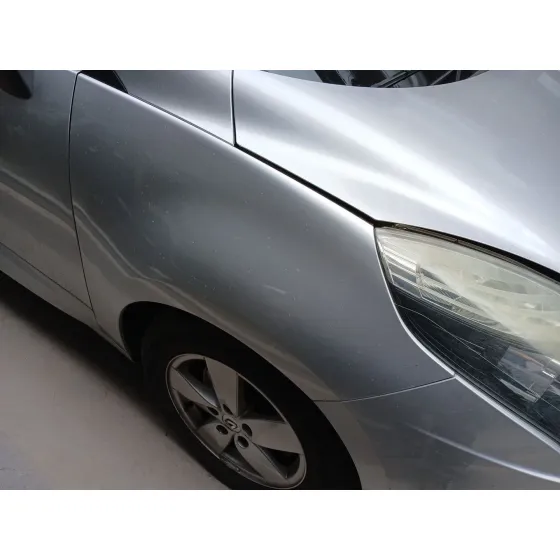 Aleta Delantera Derecha para Renault Scenic Iii (Jz0/1_)