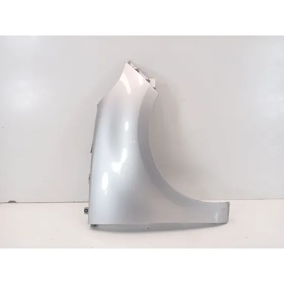 Aleta Delantera Derecha para Renault Scenic Iii (Jz0/1_)