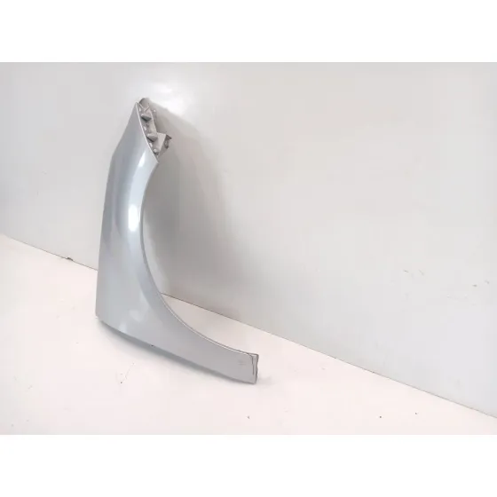 Aleta Delantera Derecha para Renault Scenic Iii (Jz0/1_)