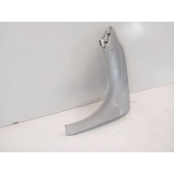Aleta Delantera Izquierda para Renault Scenic Iii (Jz0/1_)