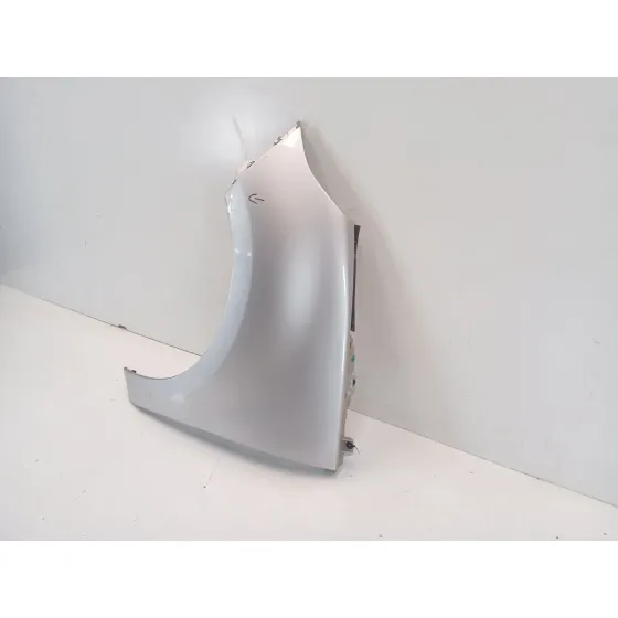 Aleta Delantera Izquierda para Renault Scenic Iii (Jz0/1_)