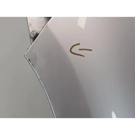 Aleta Delantera Izquierda para Renault Scenic Iii (Jz0/1_)
