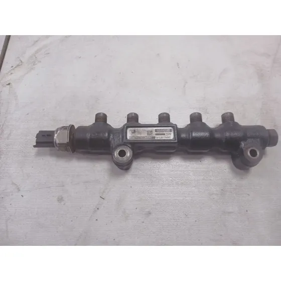 Rampa Inyectora para Ford Focus C-Max (Dm2)