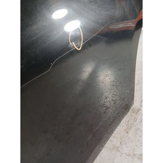 Puerta Trasera Izquierda para Bmw X1 (E84)
