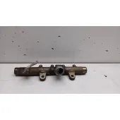 Rampa Inyectora para Renault Scenic Ii (Jm0/1_)