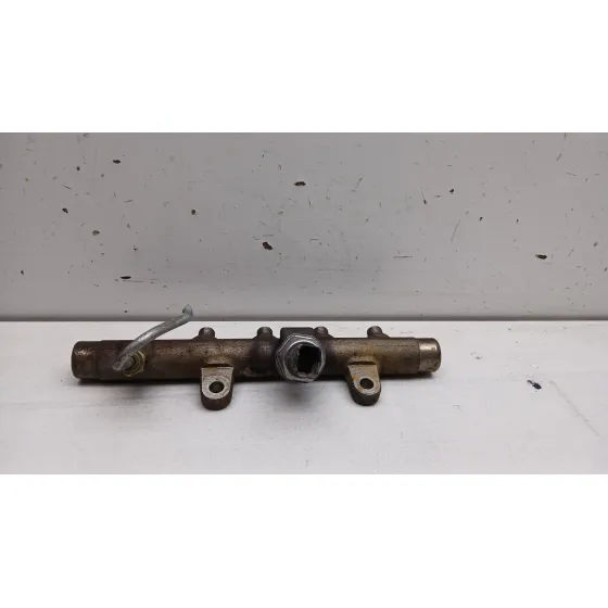 Rampa Inyectora para Renault Scenic Ii (Jm0/1_)