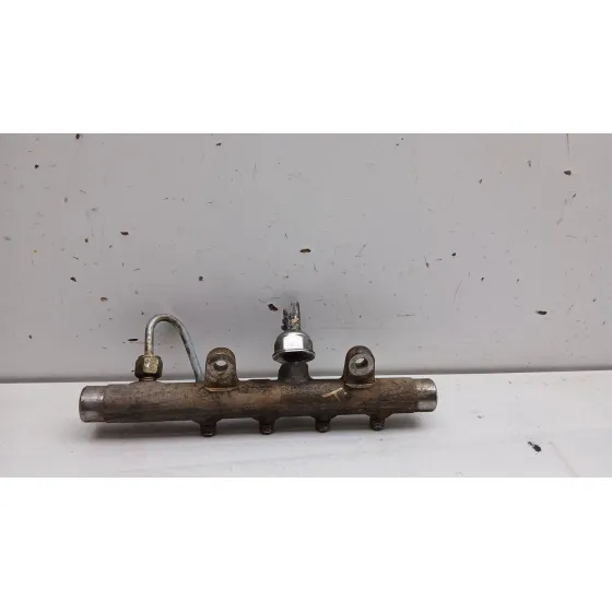 Rampa Inyectora para Renault Scenic Ii (Jm0/1_)