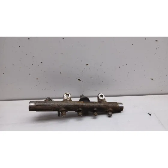 Rampa Inyectora para Renault Scenic Ii (Jm0/1_)