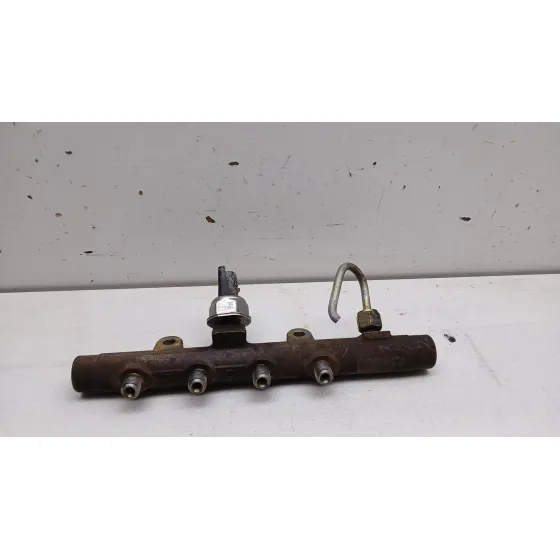 Rampa Inyectora para Renault Scenic Ii (Jm0/1_)