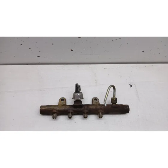 Rampa Inyectora para Renault Scenic Ii (Jm0/1_)