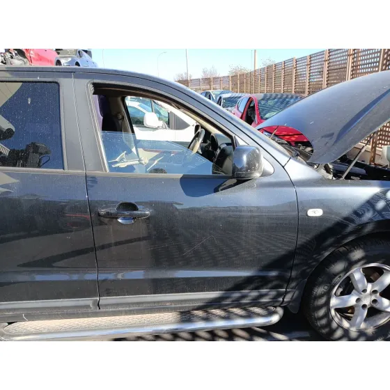 Puerta Delantera Derecha para Hyundai Santa Fe Ii (Cm)