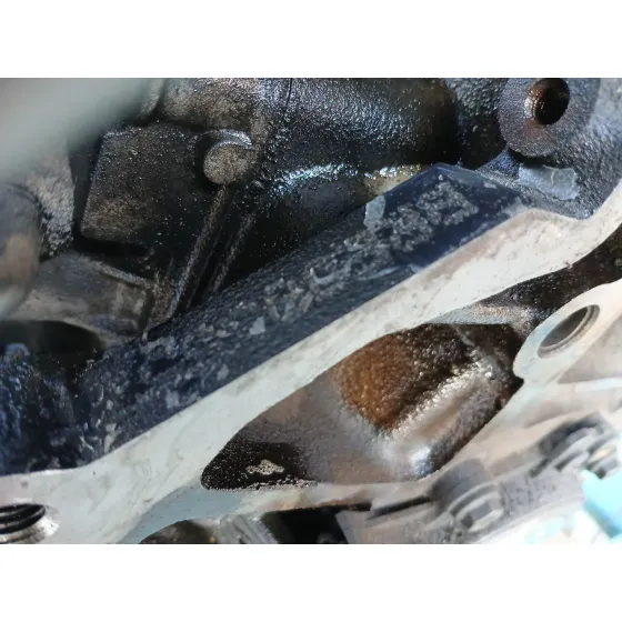 Despiece Motor para Audi A4 Berlina (8E)