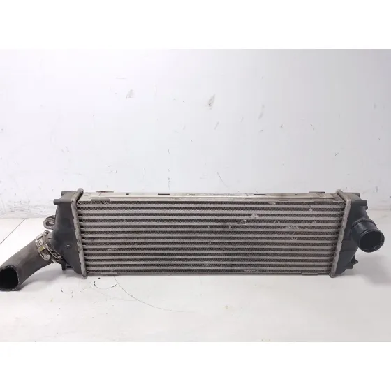 Intercooler para Renault Trafic Ii Autobus (Jl)