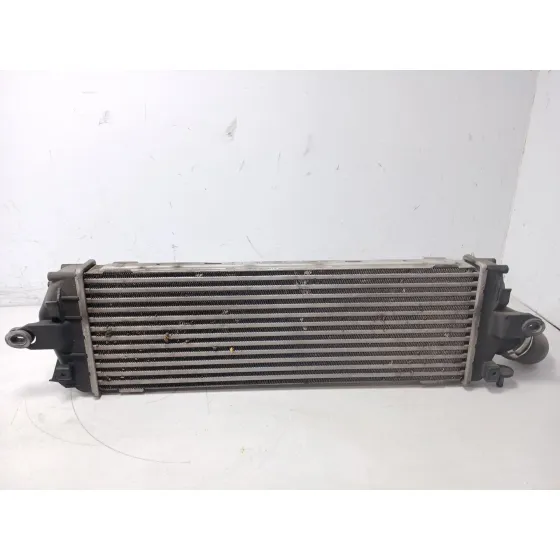 Intercooler para Renault Trafic Ii Autobus (Jl)