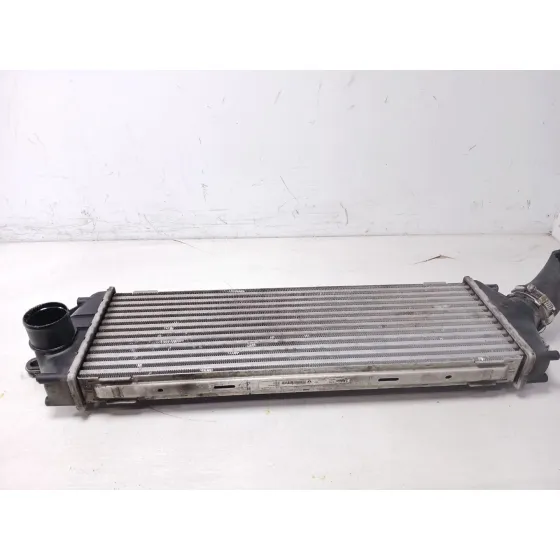 Intercooler para Renault Trafic Ii Autobus (Jl)