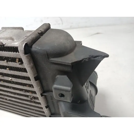 Intercooler para Renault Trafic Ii Autobus (Jl)