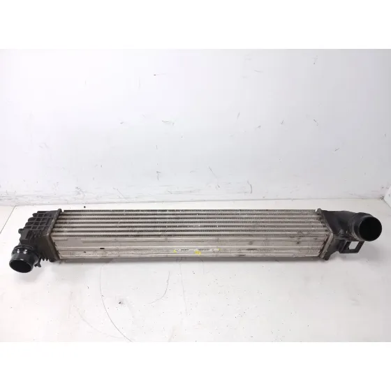 Intercooler para Renault Scenic Iii