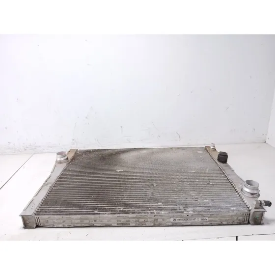 Radiador Agua para Bmw X5 (E70)
