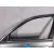 Puerta Delantera Izquierda para Bmw 5 (E39)