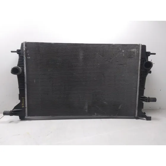 Radiador Agua para Renault Scenic Iii (Jz0/1_)