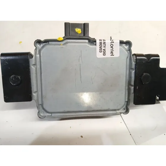 Modulo Electronico para Renault Scenic Iii (Jz0/1_)