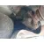 Transmision Central para Bmw 3 Touring (F31)