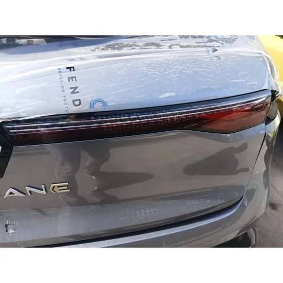 Piloto Trasero Derecho Interior para Renault Megane E-Tech Suv