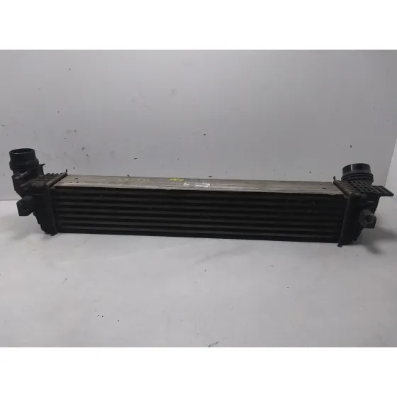 Intercooler para Renault Scenic Iii (Jz0/1_)