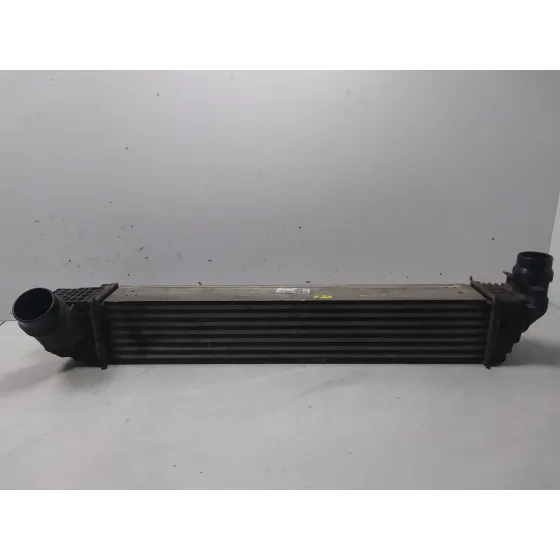 Intercooler para Renault Scenic Iii (Jz0/1_)